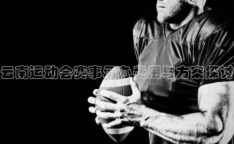 云南运动会赛事承办费用与方案探讨
