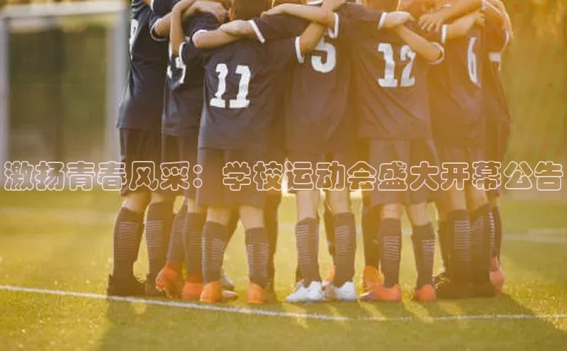 激扬青春风采：学校运动会盛大开幕公告